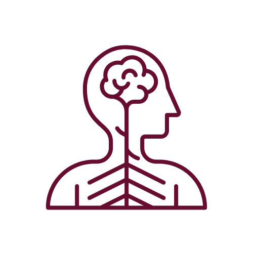 Enhanced Nervous System Function